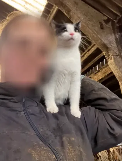 Fatma, 23